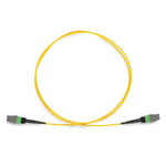 APC to APC MTP® OS2 9/125 Type-B Single-Mode 12 Fibers Trunk Cable F/F 105533