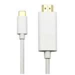 3Ft USB Type C to HDMI Male Cable 4K 60Hz - EAGLEG.COM