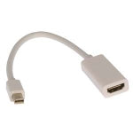 DisplayPort Adapters