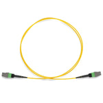 APC to APC MTP® OS2 9/125 Type-A Single-Mode 12 Fibers Trunk Cable F/F 105527