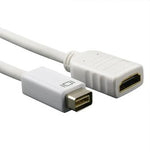 6 Inches Mini-DVI Male to HDMI Female Adapter - EAGLEG.COM